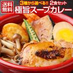 カレー レトルト【3種から選べる 北海道極旨スパイシー.スープカレー2食.】レトルトカレー スパイスカレー チキン 角煮【B】 爆買