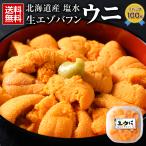 ＼1個購入から使える!最大6000円引きクーポン!!/ウニ 塩水 無添加 【北海道産.塩水生エゾバフンウニ100g.】うに 北海道 セット 高級【FF8】 爆買