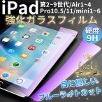 ipad ブルーライトカットフィルム 第11世代 第10世代 第9世代 a16 ケース 9.7 10.2 10.9 11 インチ pro air m3 mini 6 7