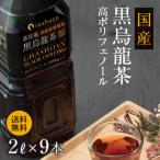 Z T 入荷待ち6/19以降発送 黒烏龍茶 国産 日本産 黒ウーロン茶 ペットボトル 2リットル 9本 静岡県産 送料無料 2L 大容量 非常食 ポイント消化