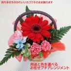 プチアレンジメント 生花 即日発送 翌日配達(17時まで)お祝い お供え 色合いが選べる