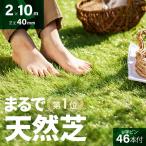 人工芝 2m×10m ロール U字ピン46本付 芝丈40mm diy 芝生マット リアル人工芝 2m 人工芝生 庭 モダンデコ