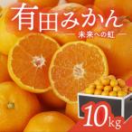 ふるさと納税 有田みかん「未来への虹」(10kg)(B2-2) 和歌山県有田市