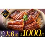 ふるさと納税 U61-72-02 国産 うなぎ 蒲焼大サイズ6尾(計1000g以上) うなぎ うなぎ うなぎ うなぎ うなぎ 【wksg01】 【fukuchi00】 福岡県福智町