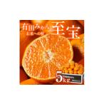 ふるさと納税 果物類 みかん 和歌山県 有田市 有田市認定みかん「未来への虹」至宝(5kg) 日本初自治体認定フルーツ (A1-2)