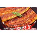 ふるさと納税 うなぎ 和歌山県 有田市 超特大国産うなぎ1本&蒲焼きカット(A217-1)