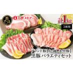 ふるさと納税 豚肉 バラ 鹿児島県 南さつま市  ブランド黒豚 かごしま黒豚 3種類 計1kg バラエティセット お肉 国産 豚肉 鹿児島県産 冷凍 南さつま市