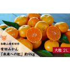 ふるさと納税 果物類 みかん 和歌山県 有田市  大粒・2L・LL 有田みかん「未来への虹」(約9kg)(A240-2)
