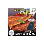 ふるさと納税 うなぎ 和歌山県 有田市 国産うなぎ蒲焼き大サイズ2本セット(A247-2)
