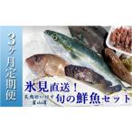 ふるさと納税 旬の鮮魚等 富山県 氷見市  定期便(3ヶ月) 天然のいけす 富山湾 氷見漁港直送 旬の鮮魚セット 〈配送地域限定〉