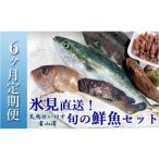 ふるさと納税 旬の鮮魚等 富山県 氷見市  定期便(6ヶ月) 天然のいけす 富山湾 氷見漁港 旬の鮮魚セット 〈配送地域限定〉