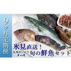 ふるさと納税 旬の鮮魚等 富山県 氷見市  定期便(9ヶ月) 天然のいけす 富山湾 氷見漁港 旬の鮮魚セット 〈配送地域限定〉