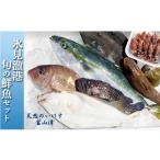 ふるさと納税 旬の鮮魚等 富山県 氷見市 天然のいけす 富山湾 氷見漁港 旬の鮮魚セット 〈配送地域限定〉