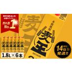 ふるさと納税 焼酎 麦 鹿児島県 曽於市  鹿児島本格麦焼酎 麦王パック(1.8L×6本・計10.8L) 麦焼酎 お酒 セット 岩川醸造 A393-v02 1回 1.8L×6
