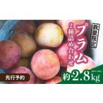 ふるさと納税 果物類 埼玉県 北本市  先行予約/限定30箱 プラム 2種詰め合わせ 約2.8kg | ぷらむ すもも スモモ サマーエンジェル サマービュート 限定品 お…