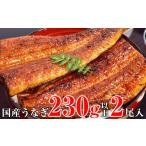 ふるさと納税 うなぎ 和歌山県 有田市  数量限定 超特大サイズ国産うなぎ蒲焼き2本セット (230〜249g×2本)(A632-2)
