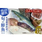 ふるさと納税 旬の鮮魚等 富山県 氷見市  定期便12ヶ月 天然のいけす 富山湾 氷見漁港 旬の鮮魚セット 〈配送地域限定〉