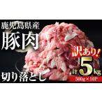 ふるさと納税 豚肉 鹿児島県 曽於市  訳あり 計5kg 鹿児島県産豚肉 切り落とし(計5kg・500g×10パック) 豚肉 小分け 冷凍 おきどき A458-v02 計5kg・500g×10…