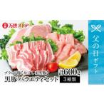 ふるさと納税 豚肉 セット 鹿児島県 南さつま市  父の日ギフト ブランド黒豚 かごしま黒豚 3種類 計600g バラエティセット お肉 国産 豚肉 鹿児島県産 冷凍 南…