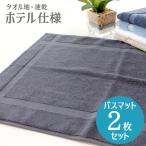 バスマット タオル地 2枚 セット 650匁 業務用 デイリーバスマット [M便 1/3]
