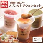 プリンセレクションセット NP-07 /  送料無料 西通りぷりん 西原商会 ぷりん 福岡 ポシェ 八女茶 あまおう (北海道・沖縄別途送料)