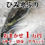 【送料無料】ひみ寒ぶり 氷見 天然 寒ブリ おまかせ1万円 (サク・切り身・あら など)