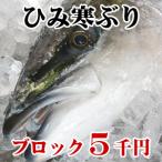 ひみ寒ぶり 氷見 天然 寒ブリ ブロック5千円 刺身・しゃぶしゃぶ等