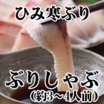 【送料無料】ひみ寒ぶりぶりしゃぶ用(約3〜4人前)氷見 天然 寒ブリ