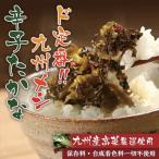 漬物 辛子高菜 500g (250g×2袋) 九州産 高菜 選べる 定番 辛口 明太子 辛子たかな ご飯のお供 福岡 ポイント消化 送料無料 爆買