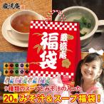 ポイント消化 500円 味噌汁 スープ インスタント 福袋 9種類 20個 セット  みそ汁 オニオンスープ  ポイント利用 お試し商品 サンプル