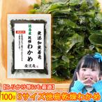 ポイント消化 乾燥 わかめ カットわかめ 徳島県産  100gセット 国産品 乾燥 ワカメ ふりかけ にもおす ポイント利用 お試し商品 サンプル