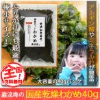 ポイント消化 乾燥 わかめ カットわかめ 徳島県産  40gセット 国産品 乾燥 ワカメ ふりかけ にもおすす ポイント利用 お試し商品 サンプル