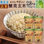 令和6年産 玄米 無洗米 からだにやさしい健美玄米 700g×4袋 送料無料  時短 食べやすい  (岩手県産 ひとめぼれ 使用)