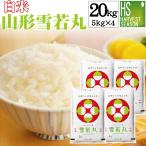 令和6年産 雪若丸 米 お米 20kg 白米 山形県産 5kg×4袋 送料無料 精米HACCP認定工場