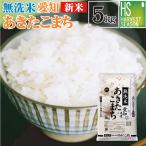 新米 令和7年産 無洗米 5kg 愛知県産 あきたこまち  送料無料