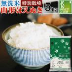 令和6年産 無洗米 5kg はえぬき 山形県産 特別栽培米 お米 送料無料