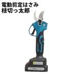 電動剪定はさみ 枝切っ太郎 電動開閉 力要らずでスパッと切れる 充電式 剪定ばさみ 電動ハサミ 枝切りばさみ コードレス ALUMIS アルミス EDT-25M