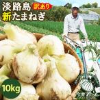 たまねぎ 新玉ねぎ 淡路島 10kg 訳あり 玉ねぎ 玉葱 今井ファーム #淡路玉ねぎ【訳あり】10K#