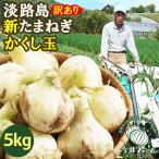 たまねぎ 新玉ねぎ 淡路島 訳あり 5kg かくし玉 玉ねぎ 玉葱 今井ファーム #かくし玉訳あり5K#