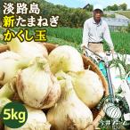 たまねぎ 新玉ねぎ 淡路島 5kg かくし玉 玉ねぎ 玉葱 今井ファーム#かくし玉 5K#