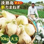 たまねぎ 新玉ねぎ 淡路島 10kg 訳あり 大玉 玉ねぎ 玉葱 今井ファーム #大玉たまねぎ10K#