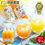 お中元 ジュース ギフト みかんジュース フルーツ オレンジジュース ストレート 750ml 9本 果汁100%
