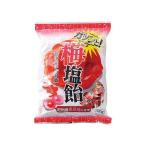 日本緑十字社 軽減税率対象商品 ガツンと!梅塩飴 1袋 1kg 375761 熱中症・暑さ対策