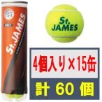 ダンロップ (4球入りボトル×15缶セット)硬式テニスボール St.JAMES(セント・ジェームス)  返品種別A