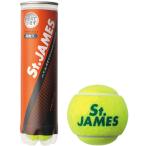 ダンロップ 硬式テニスボール St.JAMES(セント・ジェームス) 4球入りボトル /3日〜6日で出荷/ 返品種別A