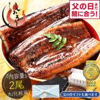 うなぎ 国産 蒲焼き 鰻 ウナギ 大サイズ 165g前後×2尾 化粧箱 うなぎ蒲焼 贈り物 unagi グルメ プレゼント 父の日 早割クーポン お中元 土用の丑の日