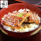 7/22より発送 ＼手土産に便利な常温タイプ/国産うなぎ 蒲焼きカット 2枚 100g うなぎ屋かわすい メール便 レトルト 送料無料 ポイント消化 土用丑 お中元