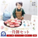 一升餅 お祝いセット 小分け 選び取りカード プレゼント ギフト 一生餅 個包装 1歳 誕生日 男の子 女の子 お餅 背負い餅 memorial