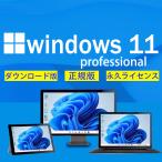 Microsoft Windows 10/11 Pro OS|正規プロダクトキー|日本語対応|新規インストール版|ダウンロード版|永続使用できます|32bit/64bit|