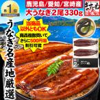 期間限定セール ますよね 父の日 ギフト 国産 にほんうなぎ蒲焼き165g×2尾 約330g前後 鹿児島or愛知or宮崎県産 うなぎ 鰻 取説とタレ山椒付 のし対応 化粧箱入